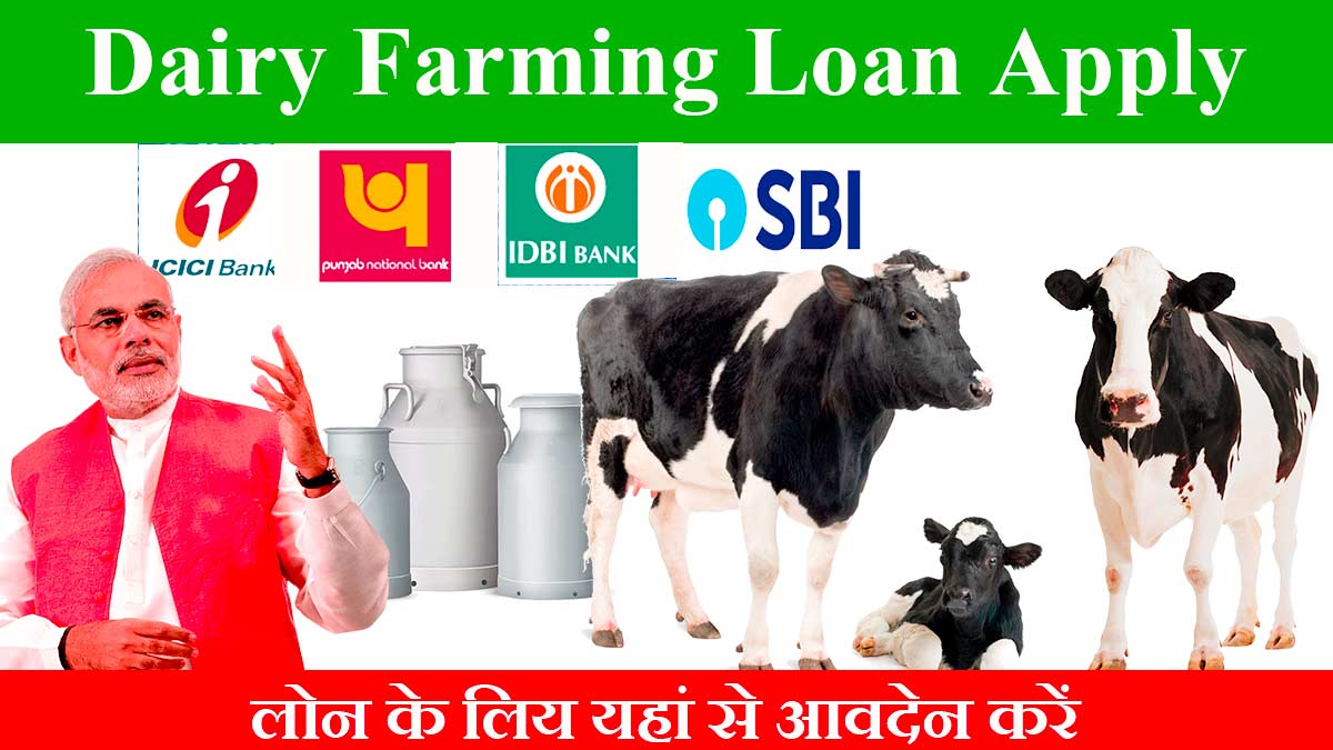 Dairy Farm Loan Scheme 2023/डेरी फार्मिंग लोन योजना क्या है